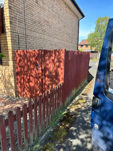 LBW Tree &amp; Hedge Specialist photo 5