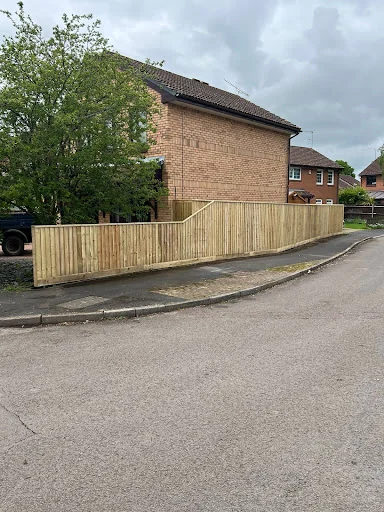 LBW Tree &amp; Hedge Specialist photo 6