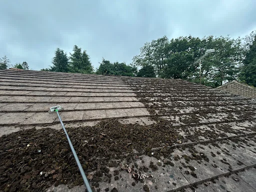 Revive Pressure Washing photo 6