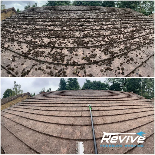 Revive Pressure Washing photo 7