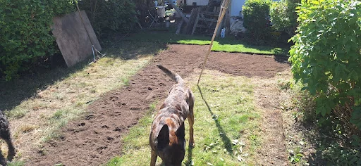 DP Landscapes photo 1