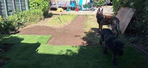 DP Landscapes photo 2