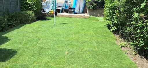 DP Landscapes photo 3