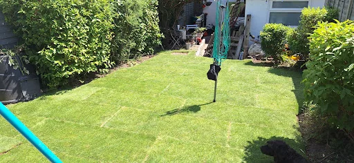 DP Landscapes photo 4