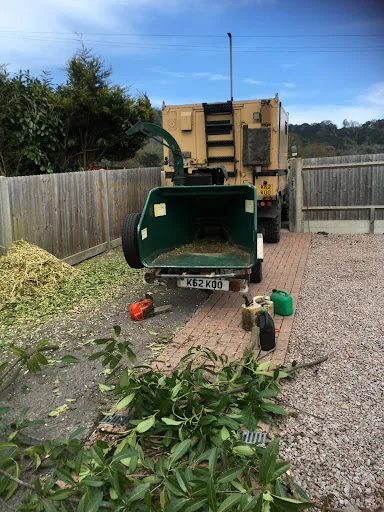 DP Landscapes photo 6