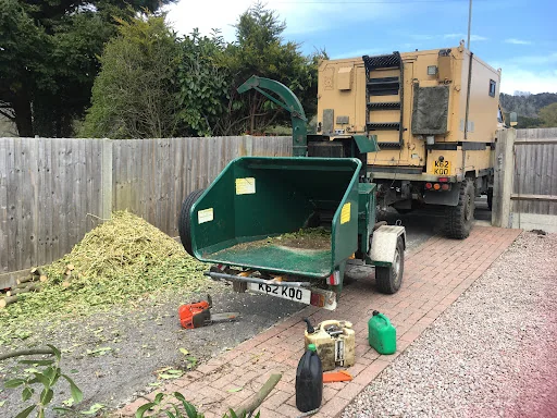 DP Landscapes photo 7