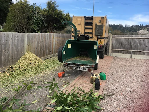 DP Landscapes photo 8