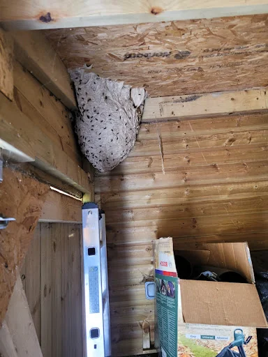 The Pest Specialist photo 1