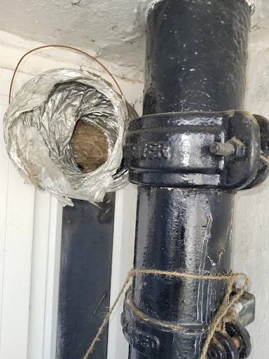 The Pest Specialist photo 2