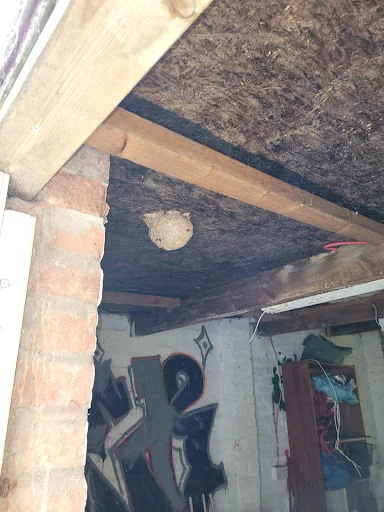 The Pest Specialist photo 5