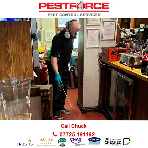 Pestforce Stockport photo 2