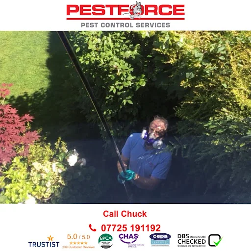 Pestforce Stockport photo 3