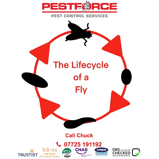 Pestforce Stockport photo 8