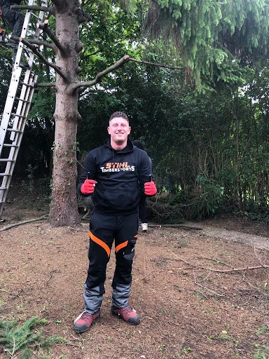 Jays Treecare and Gardening Services photo 7