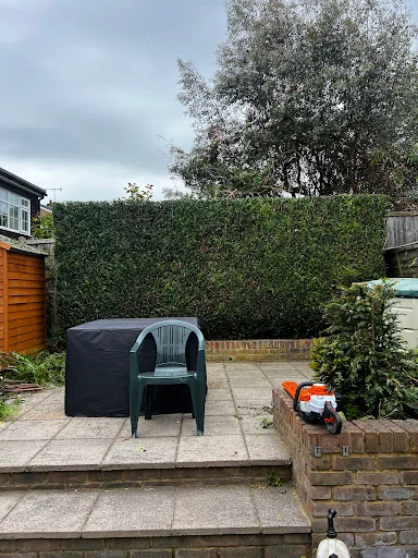 Apicalarb Tree Services Ltd photo 5