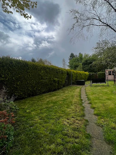 Apicalarb Tree Services Ltd photo 6