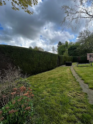 Apicalarb Tree Services Ltd photo 7