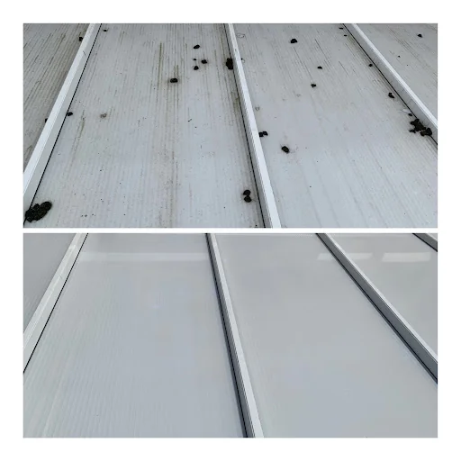 MSC Window Cleaning photo 1