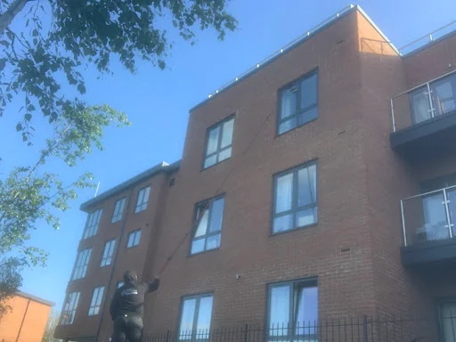 MSC Window Cleaning photo 5