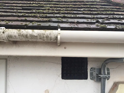 MSC Window Cleaning photo 6