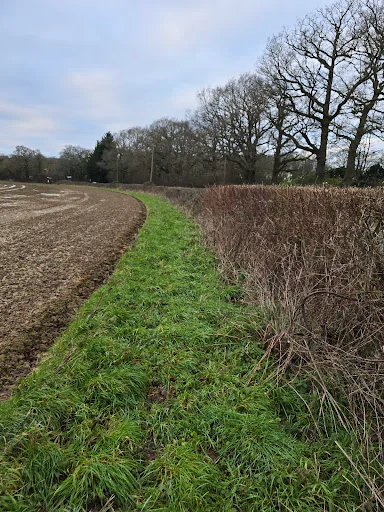 Knightons Fencing photo 1