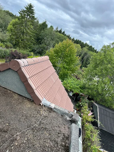 Exquisite Landscapes and Roofing photo 5