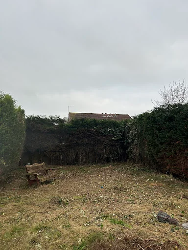 Lincs Tree and Landscaping services photo 3