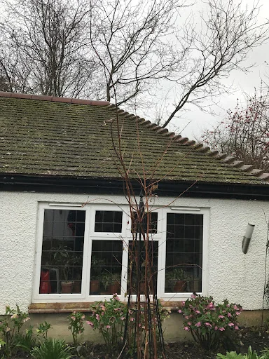 Wise Choice Roofing photo 8