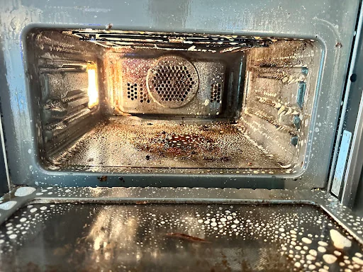 The Professional Oven Cleaner photo 3