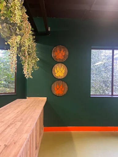 Complete Carpentry &amp; Building Services Ltd photo 1