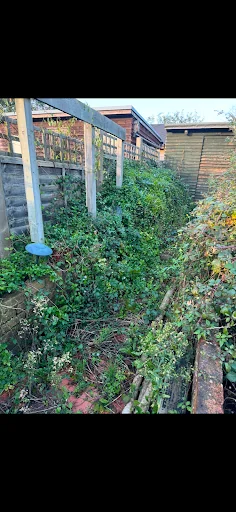 Green Leaf Gardens photo 3