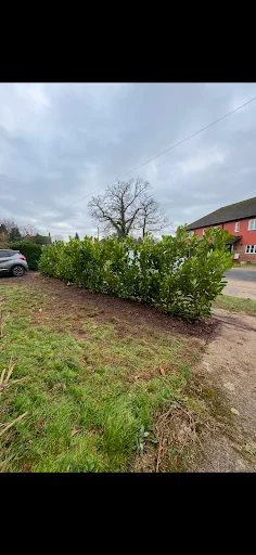 Green Leaf Gardens photo 6