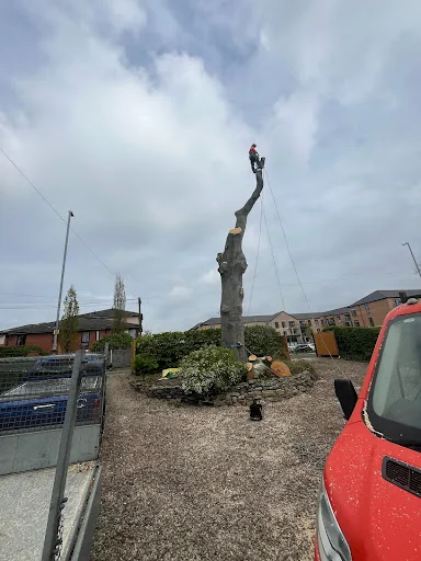 Weaver Tree Care Ltd photo 3