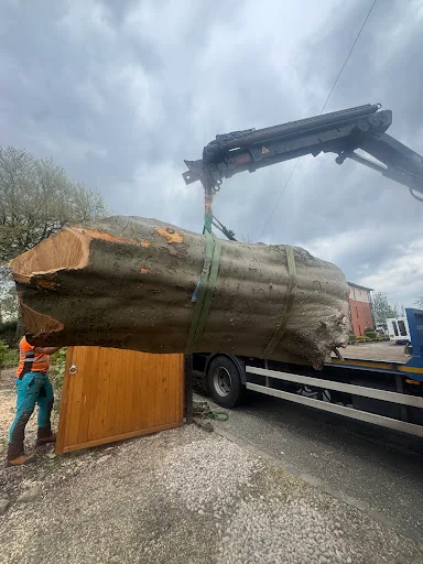 Weaver Tree Care Ltd photo 4