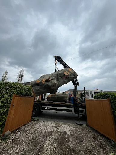 Weaver Tree Care Ltd photo 5