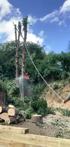 Weaver Tree Care Ltd photo 7