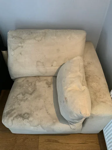 Complete Clean photo 1