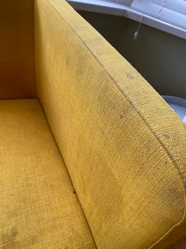 Complete Clean photo 4