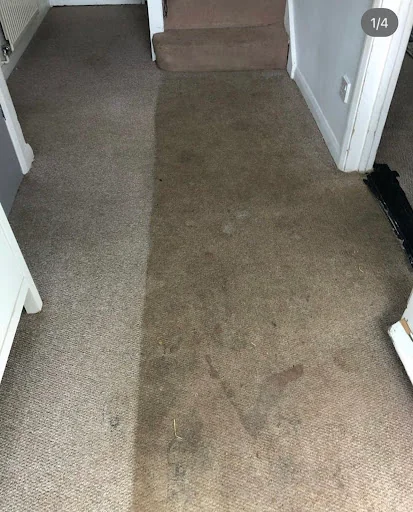 Complete Clean photo 8