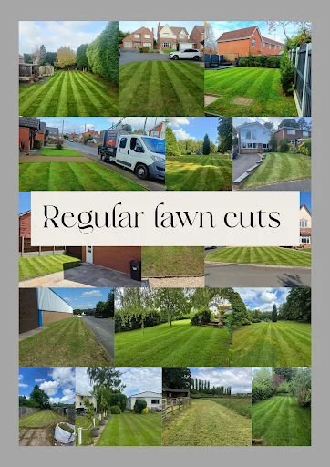 Groomed Exteriors photo 1