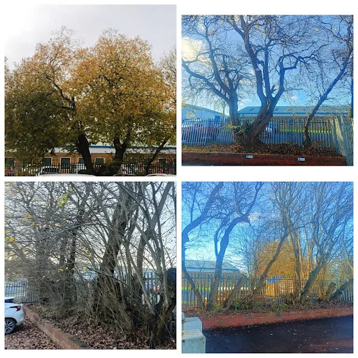 Groomed Exteriors photo 5