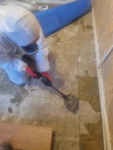 Sjs Asbestos Ltd photo 4