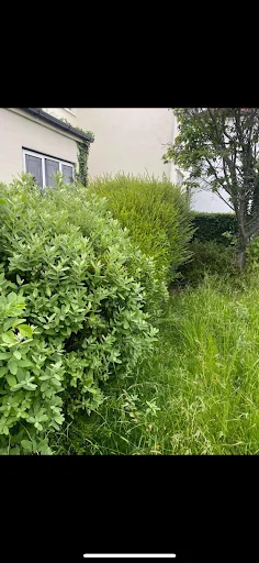 Marsh Gardening and Waste photo 6