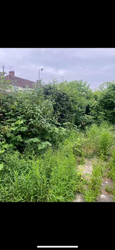 Marsh Gardening and Waste photo 7