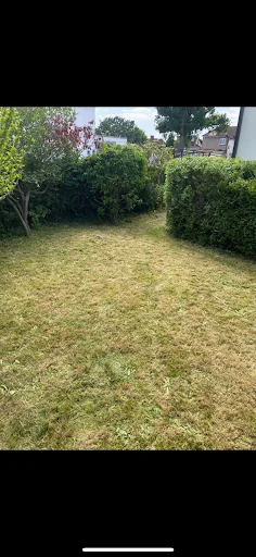 Marsh Gardening and Waste photo 8