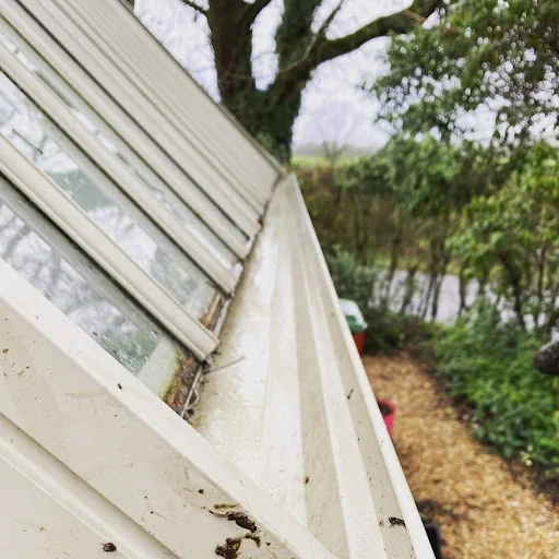 Bubble &amp; Squeak Cleaning Services Ltd photo 1