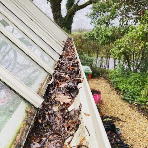 Bubble &amp; Squeak Cleaning Services Ltd photo 2