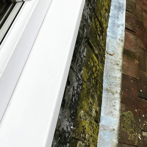 Bubble &amp; Squeak Cleaning Services Ltd photo 3