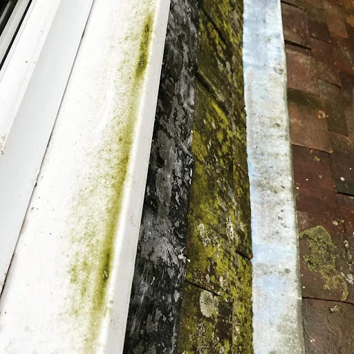 Bubble &amp; Squeak Cleaning Services Ltd photo 4