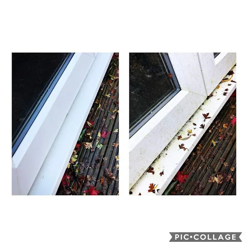 Bubble &amp; Squeak Cleaning Services Ltd photo 8